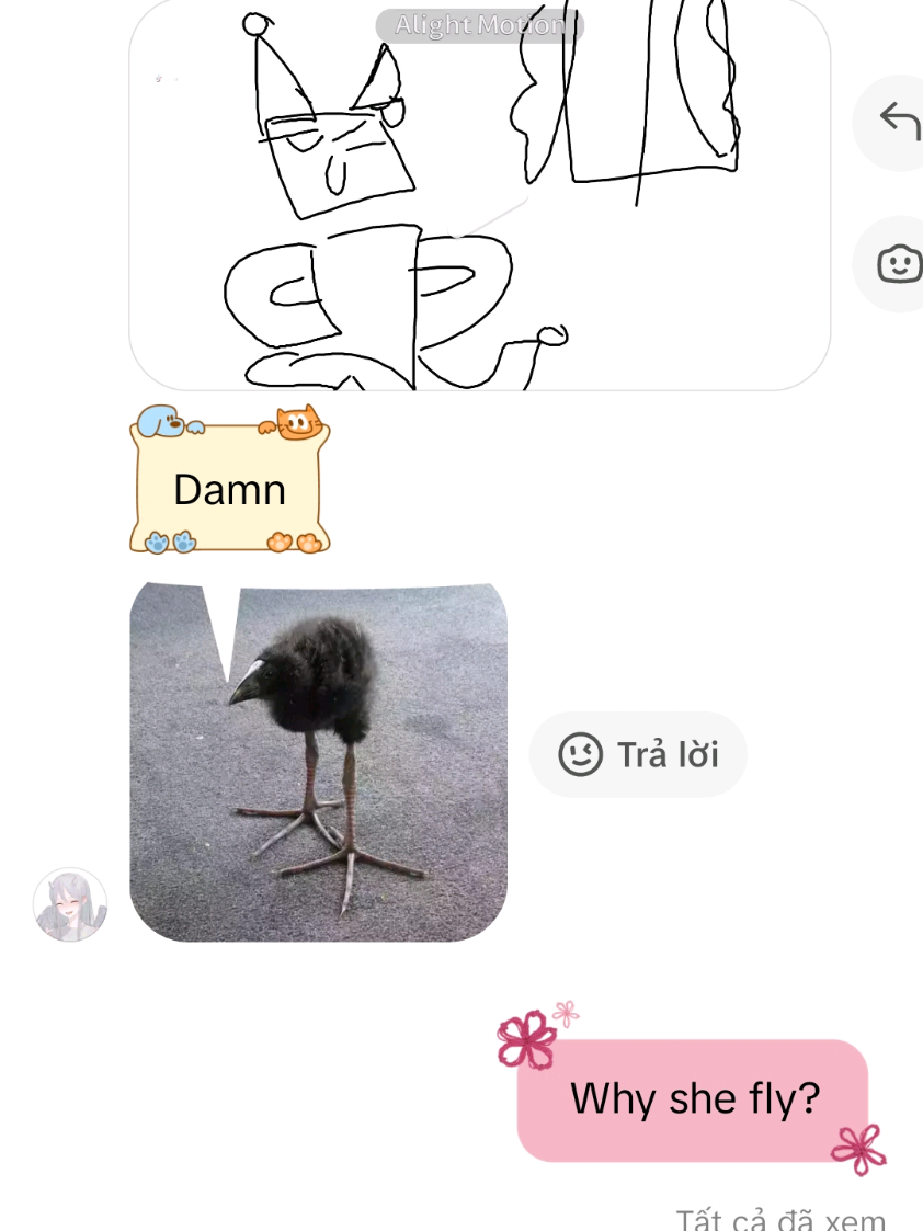 @。✧Z_7k👀👀✧。