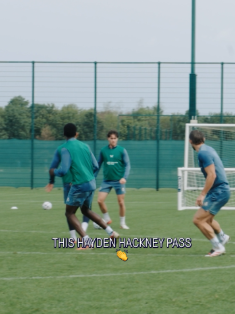 @Everton