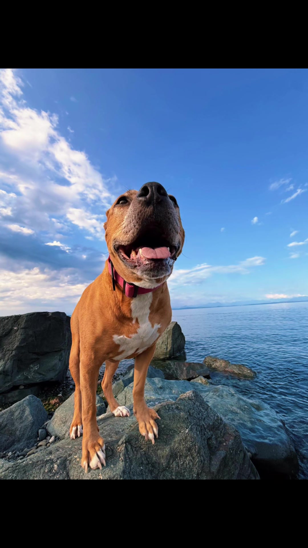 @Ocean2the.sky[.🇨🇦🏳️&zwj;🌈.]