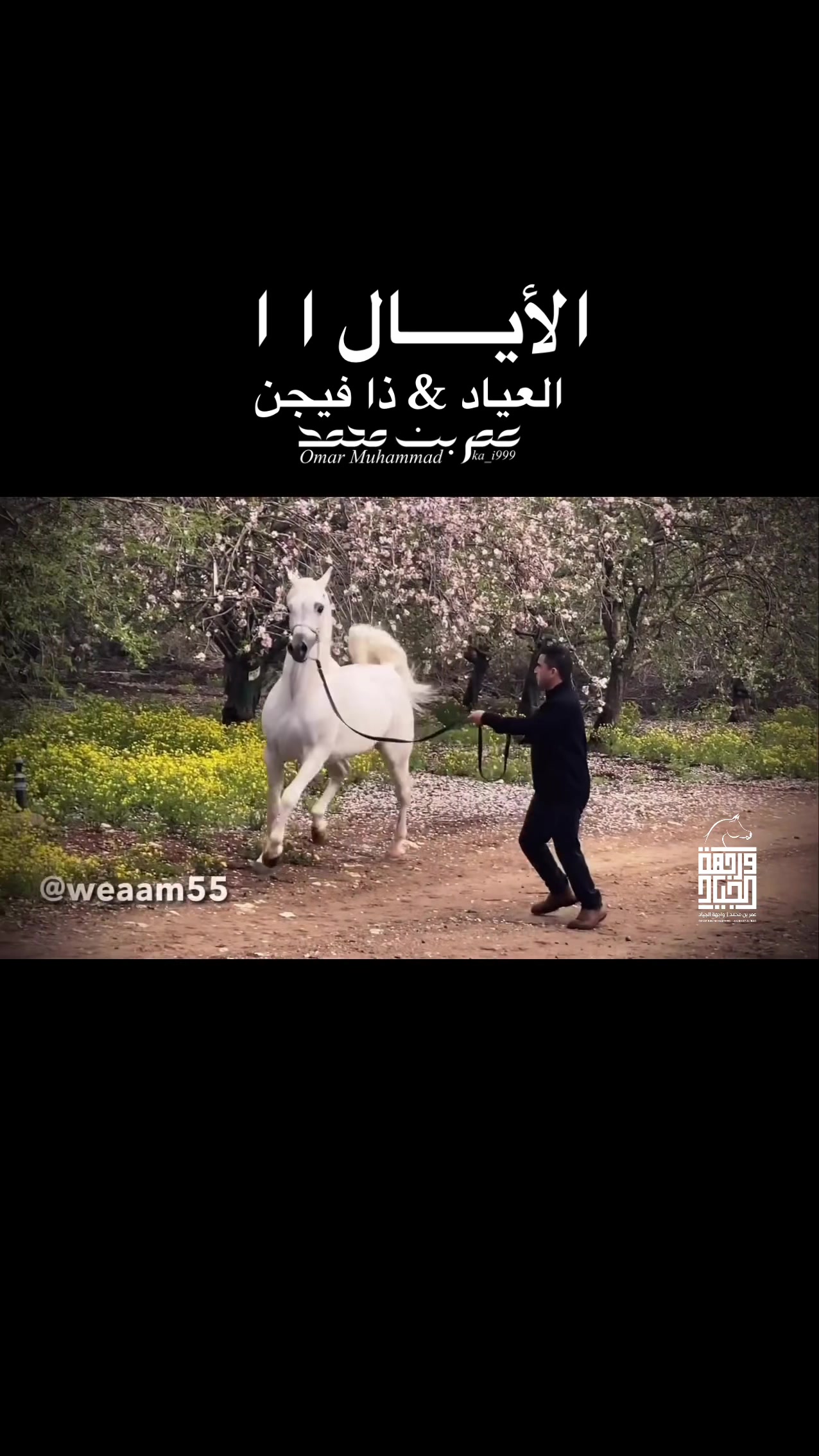 @عمر بن محمد | واجهة الجـياد🏅