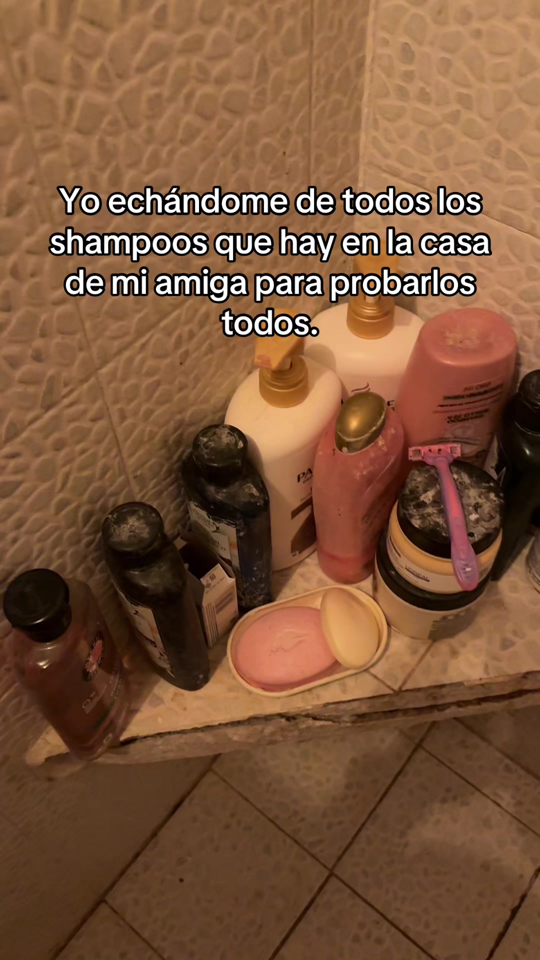 @Karlota.