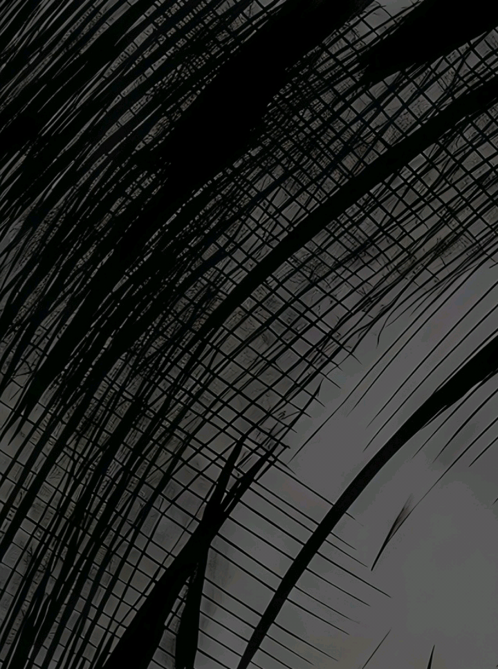 @𝟑𝟎𝟑 𝐏𝐡𝐚𝐧𝐭𝐨𝐦