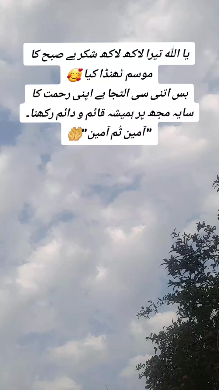 @anmolpunchi47