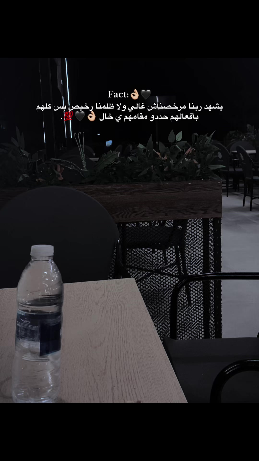 @محمد بو مفتآح لخرفي🇪🇬 515