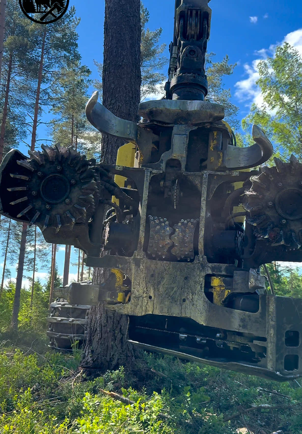 @Metsätalous