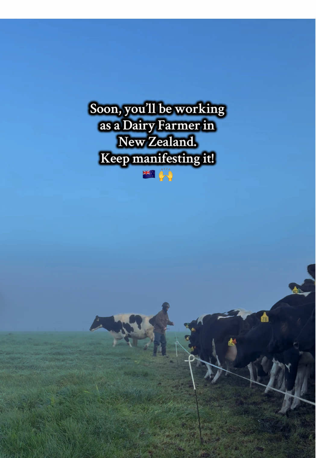 @DairyPov