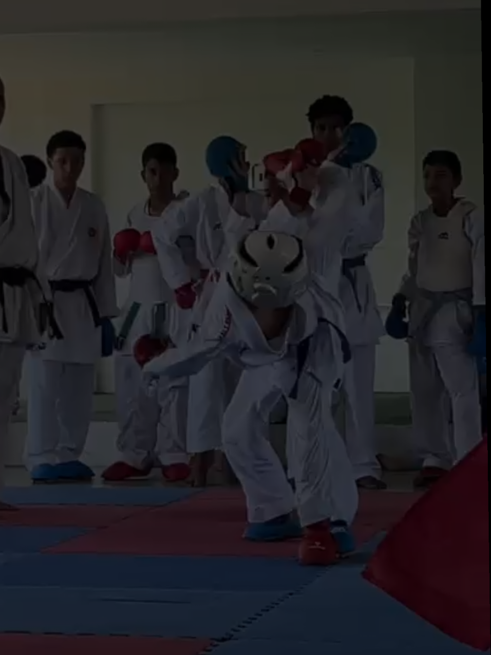 @gemelospower