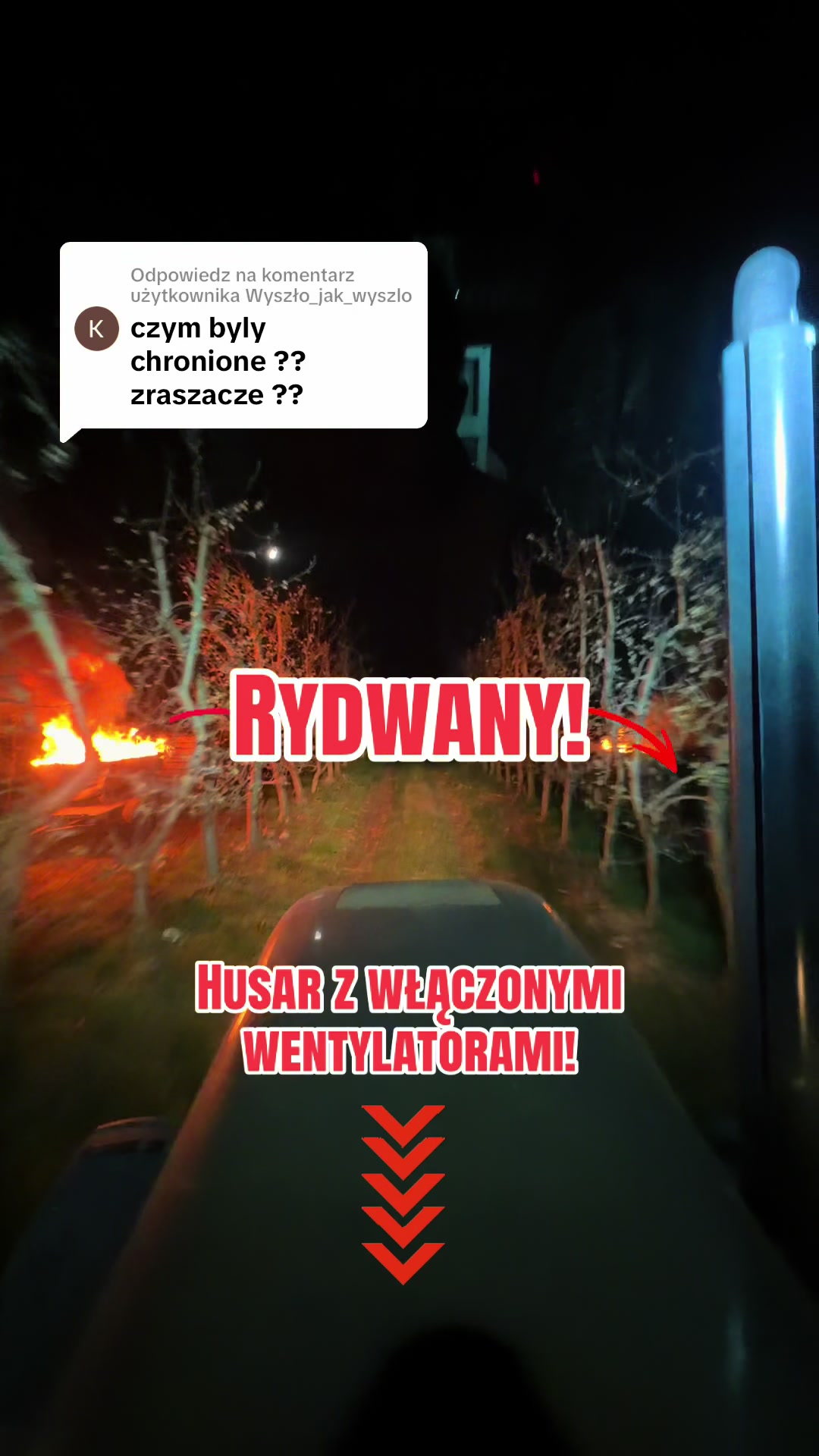 @Sady Puczyński