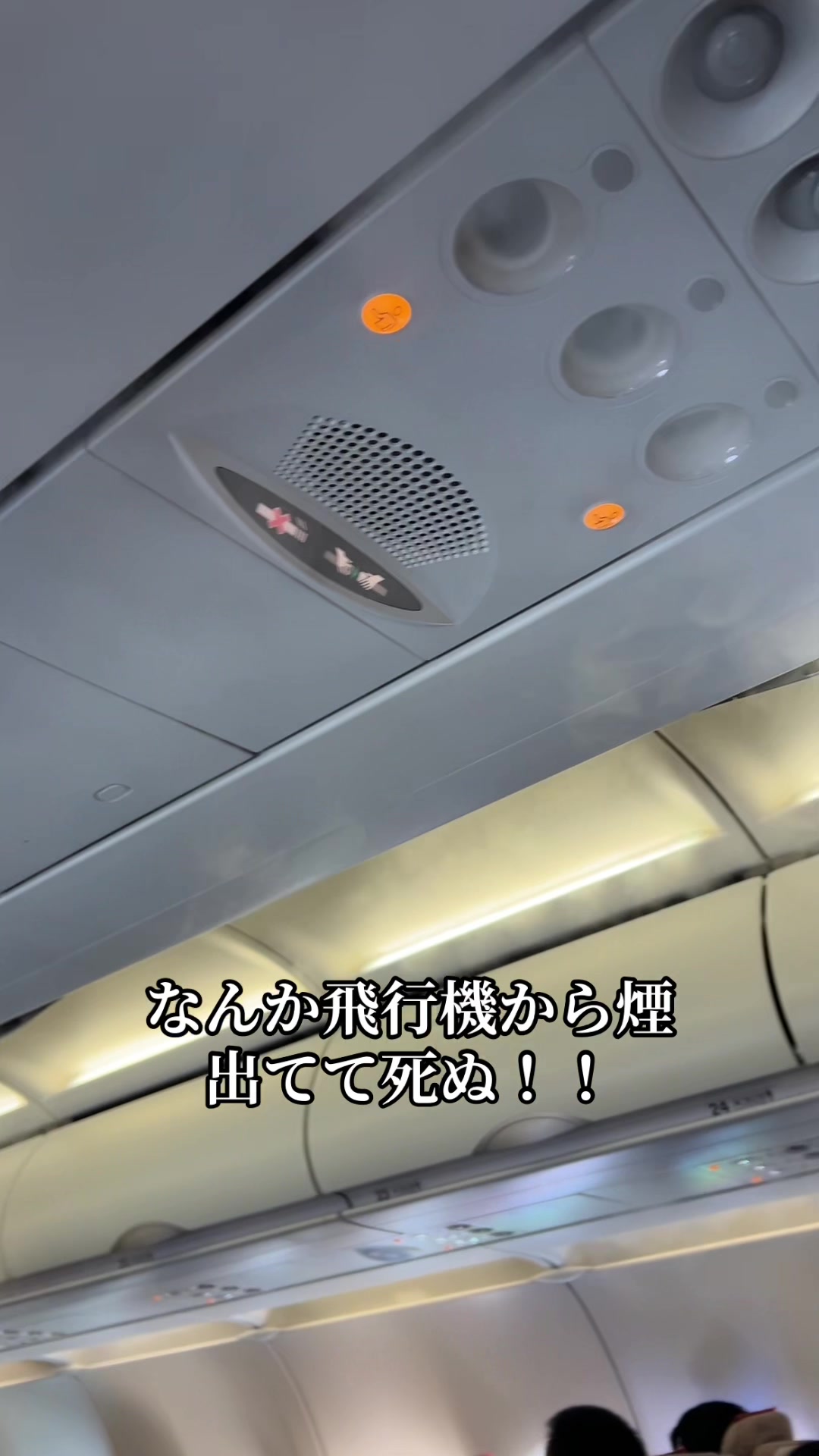 @コハッピー✌️