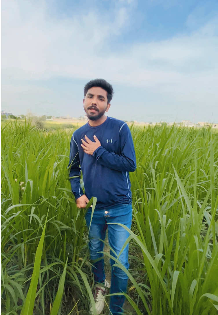 @Wahab Ali