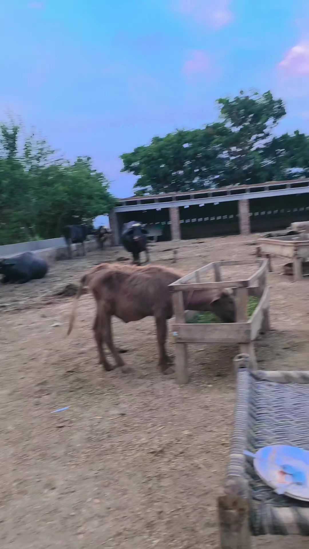 @Måلiķ Ažhăř