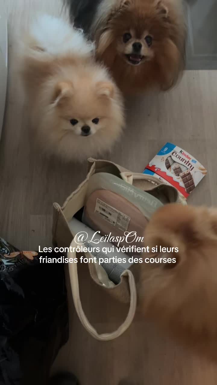 @🎀Leïla’spOm🎀