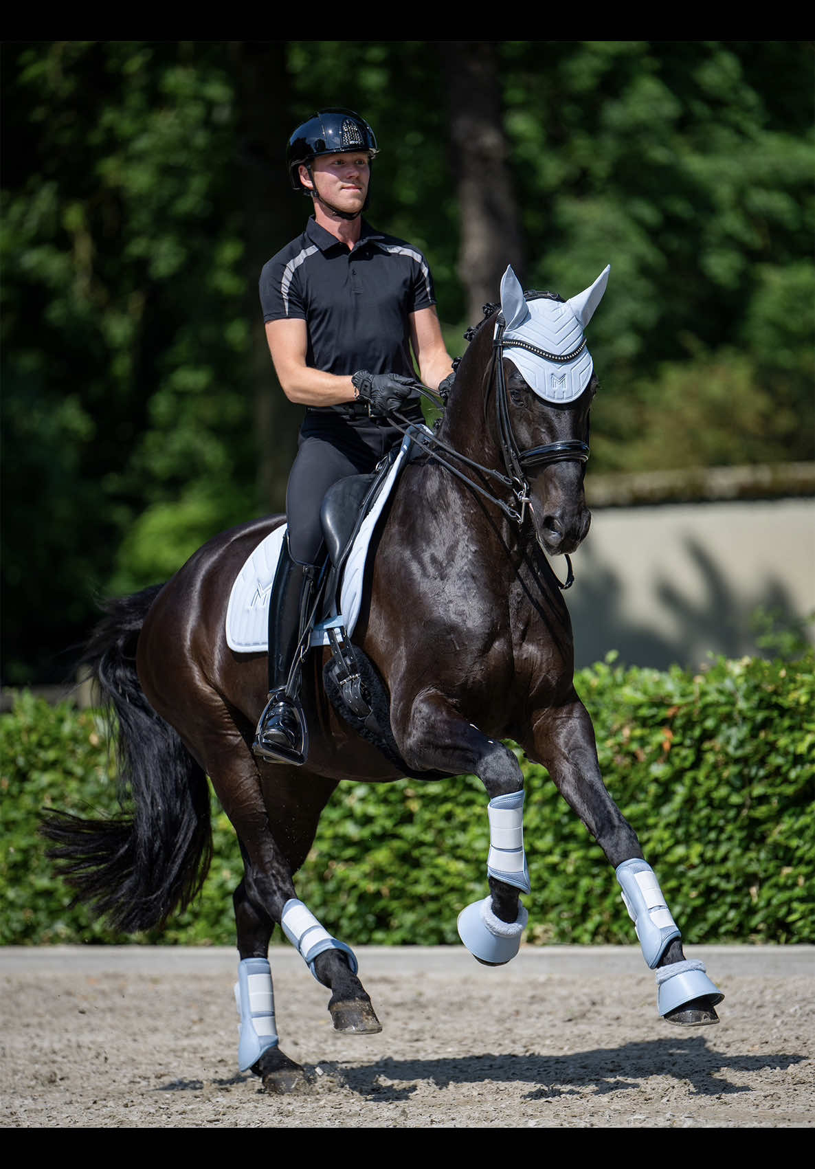 @Maximilian Equestrian
