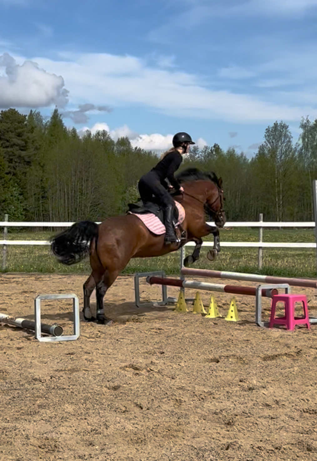 @Equestrian Veera🏇