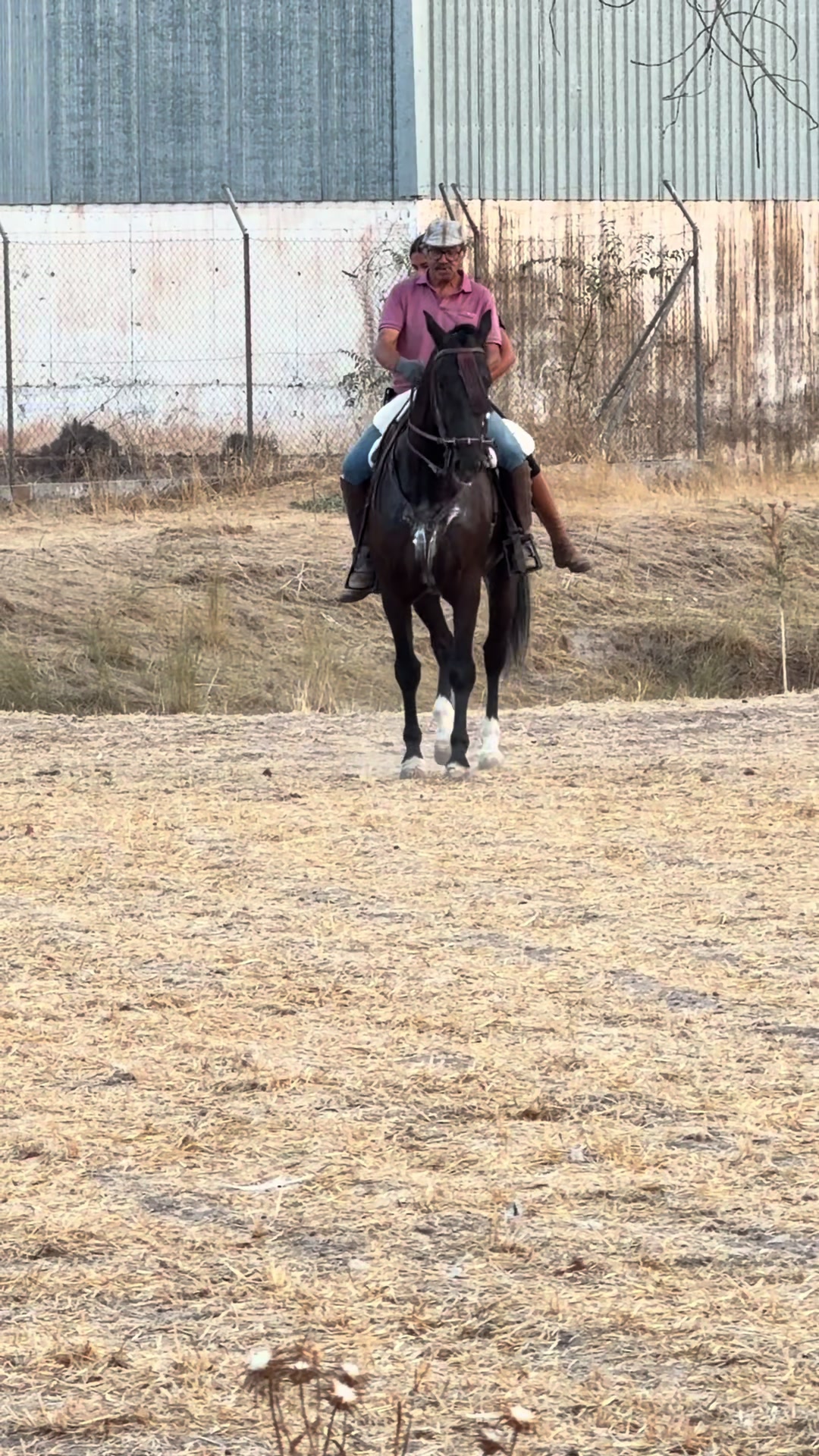 @Sandra Molina🐎🇪🇸