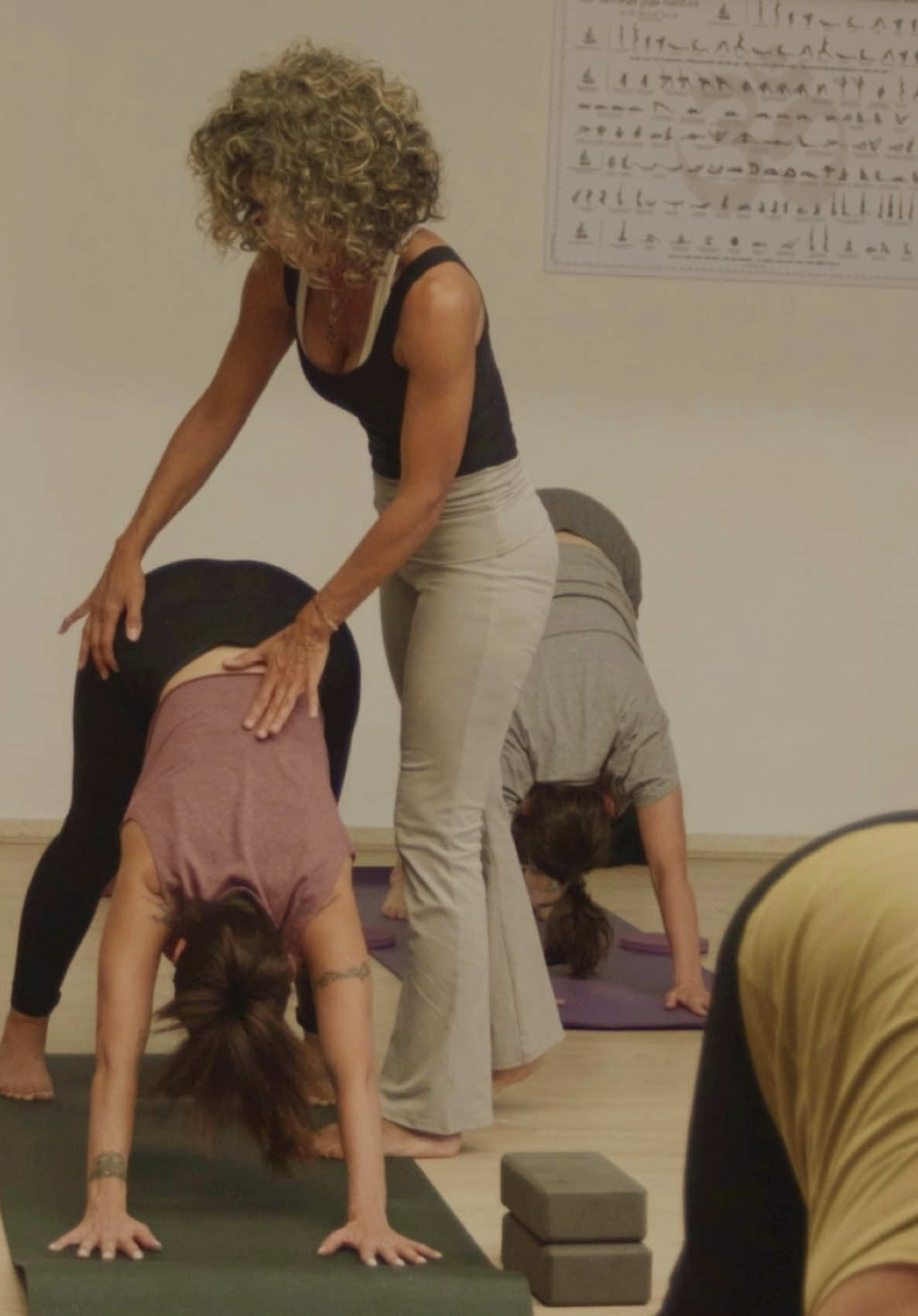 @sofiayoga.tf