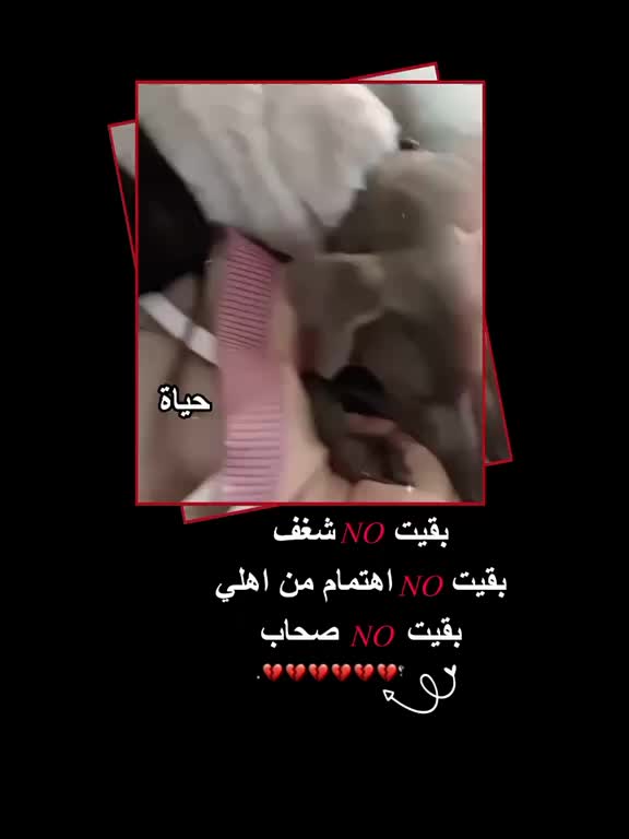 @ـ حــ⃪͢ۦـَياةَ𓄄•.١
