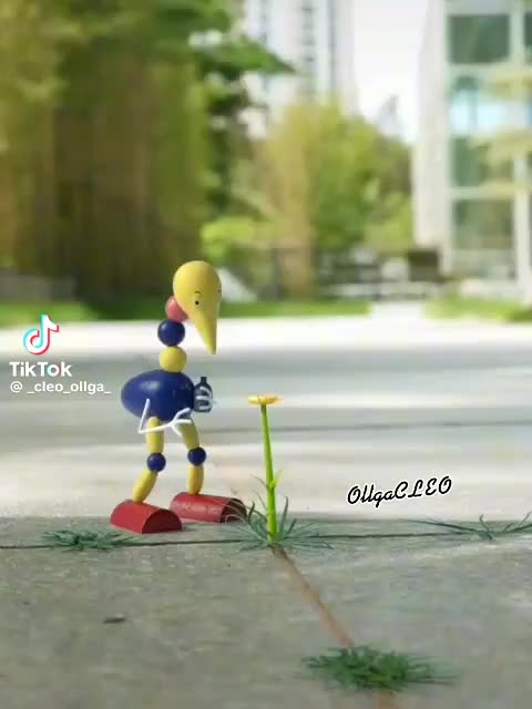@Ромашка