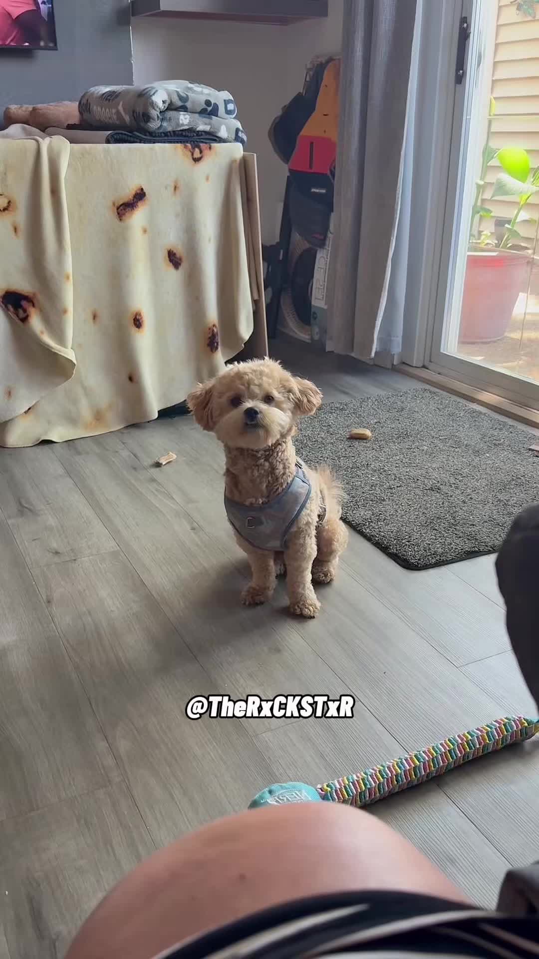 @RxCKSTxR