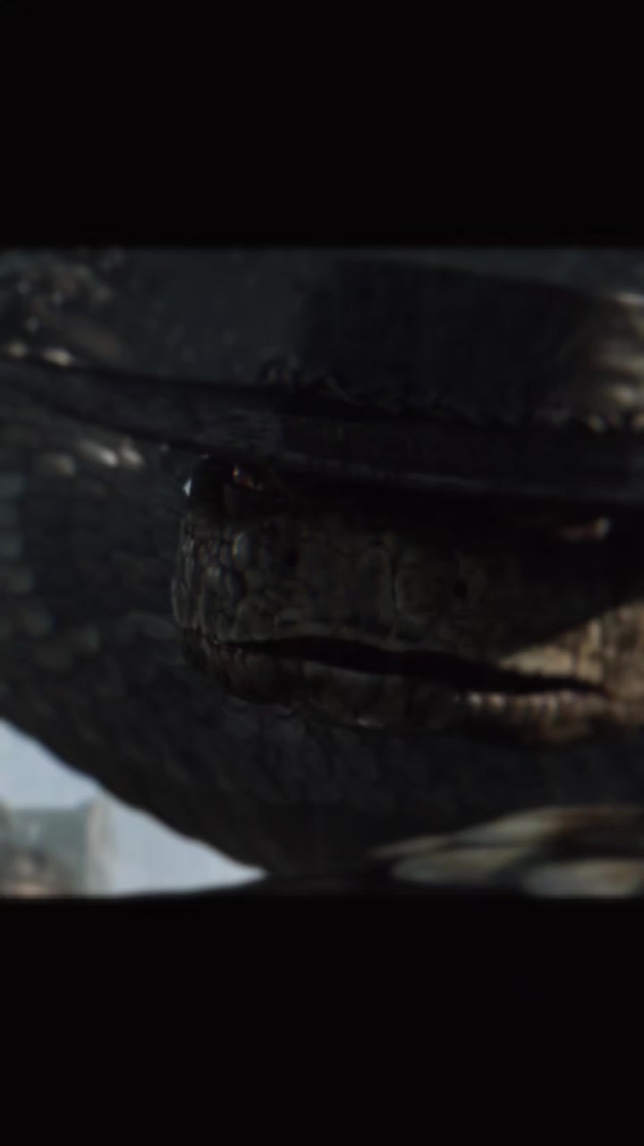 @~★🐍 𝕔𝕒𝕤𝕔𝕒𝕧𝕖𝕝! 🐍★~