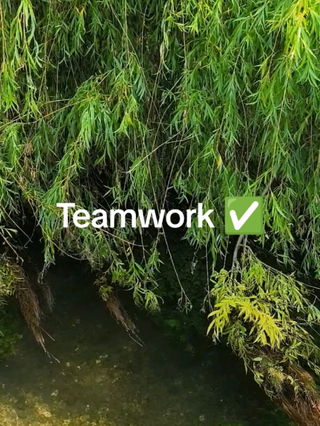 @Teamwork