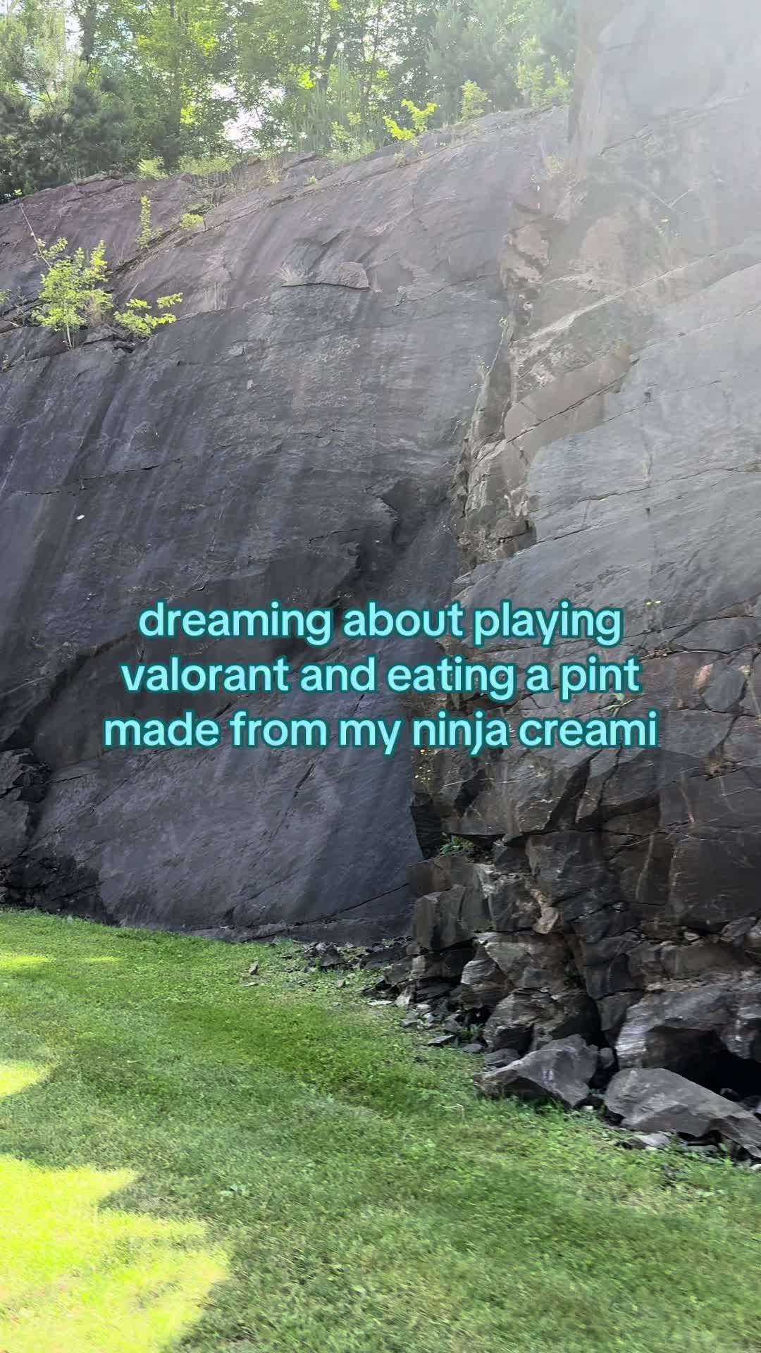 @ashi