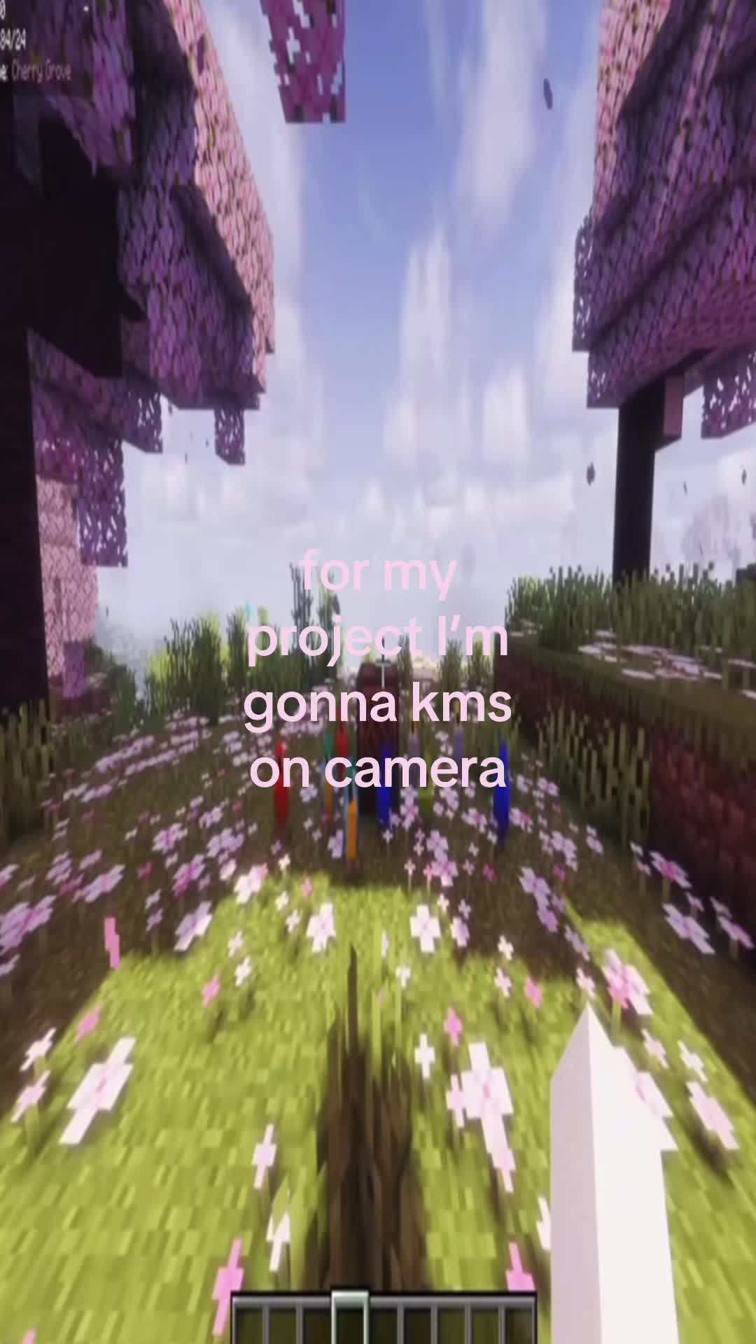 @🪷