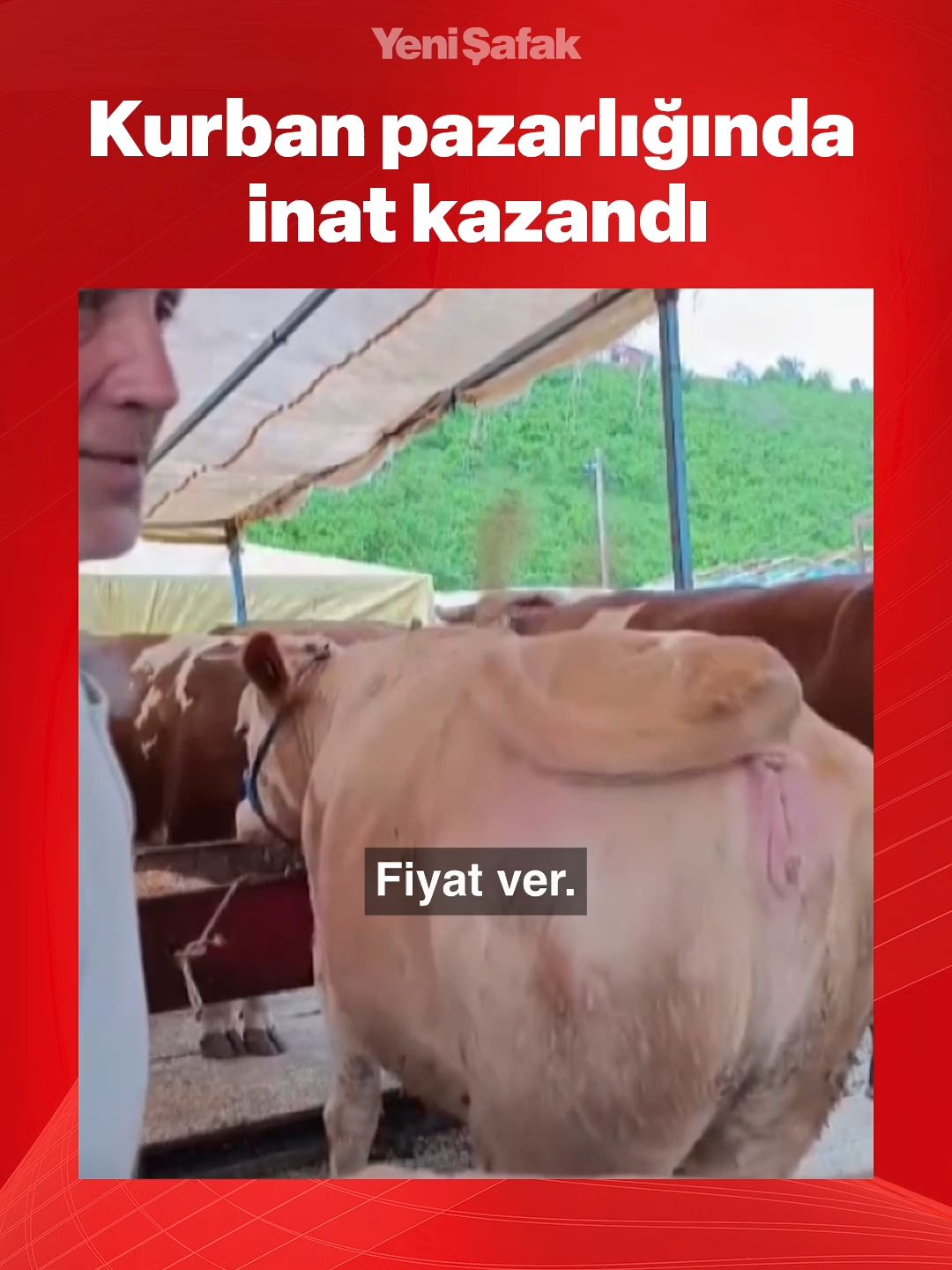 @Yeni Şafak