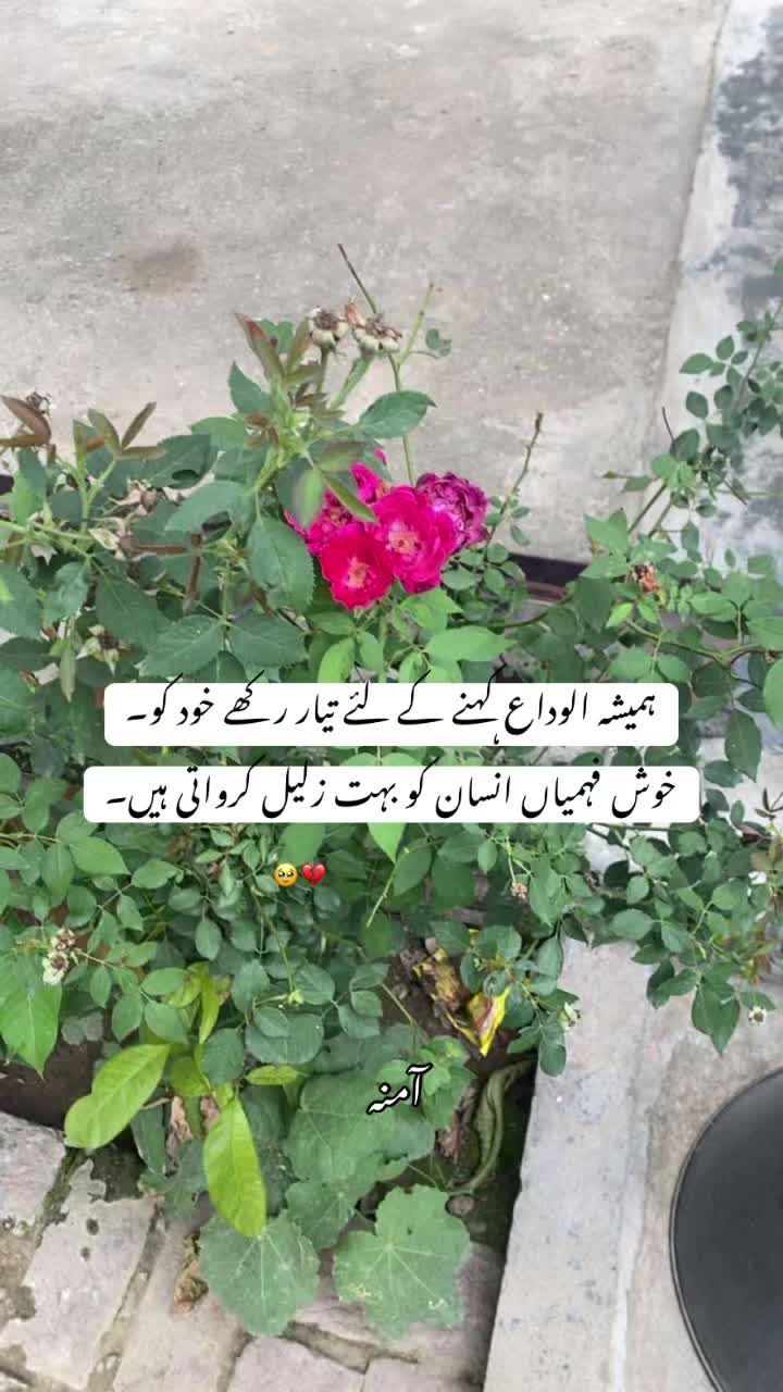 @A🪐