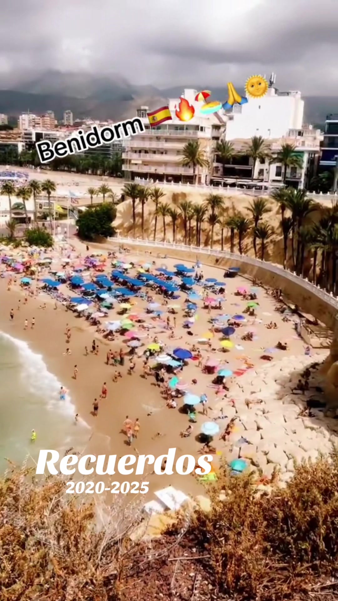 @Dorita Rangel