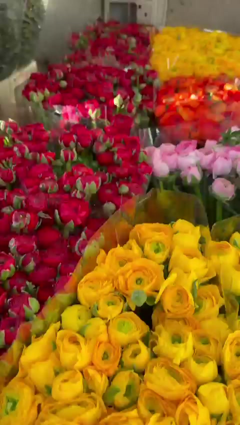 @Casconefiori