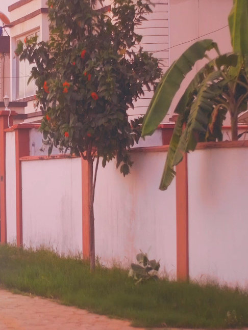 @Ultimatemediagambia 🇬🇲