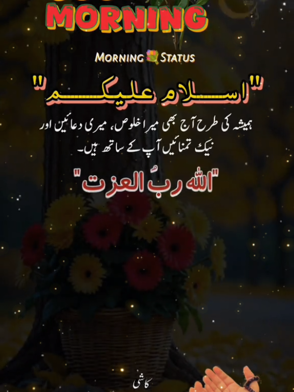 @کاشی رائٹس