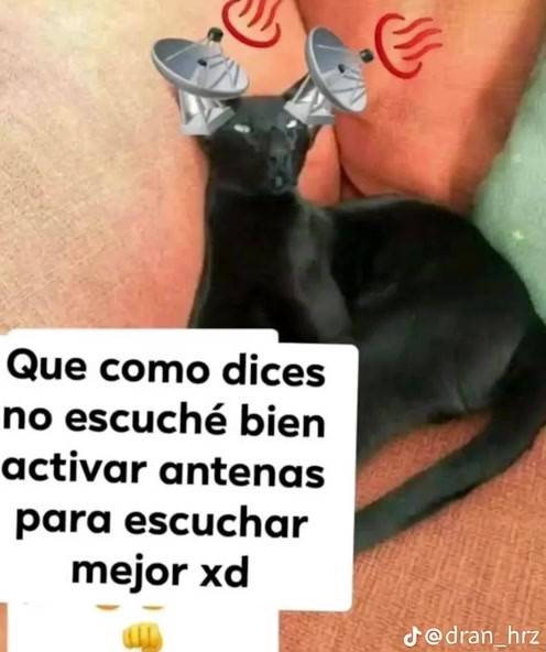 @alternative_five