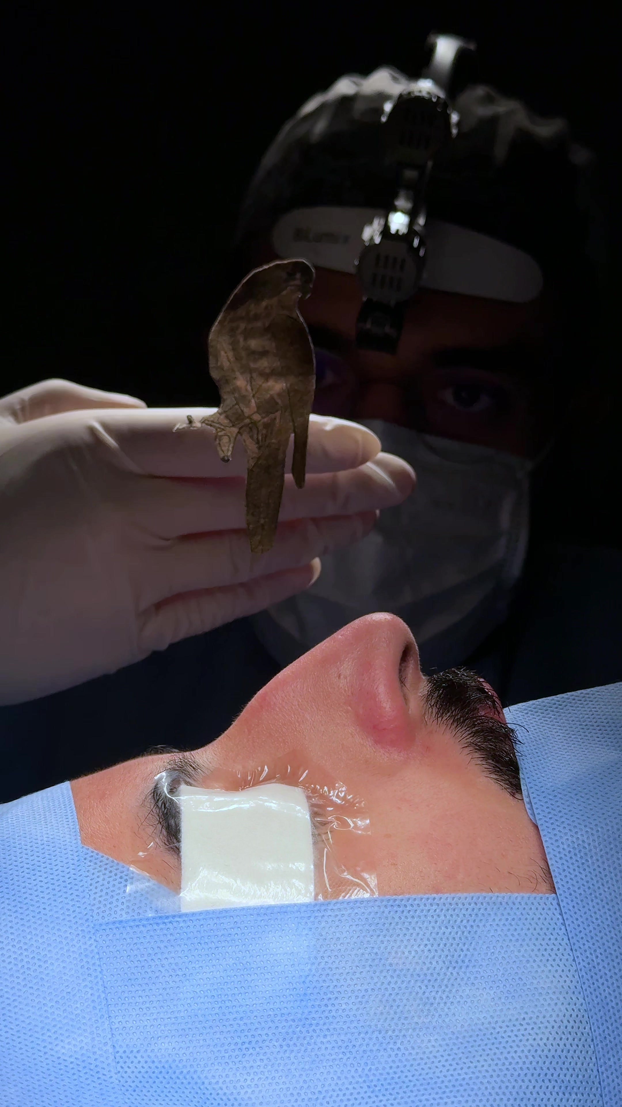 @د. محمد الصامل