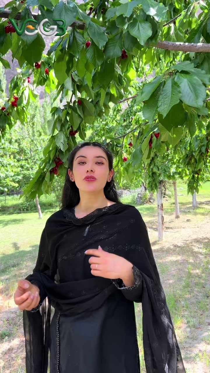 @Voice Of Gilgit Baltistan