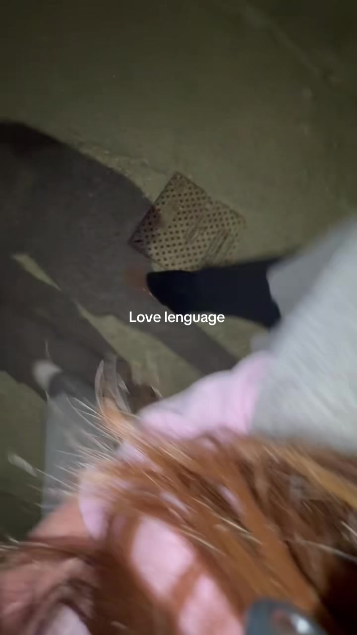 @Giù