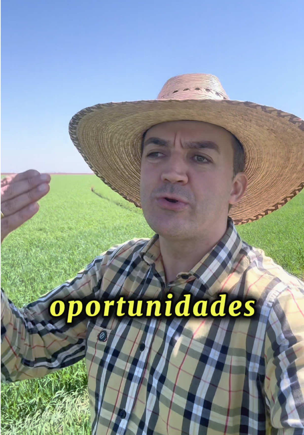 @soulucassiqueira