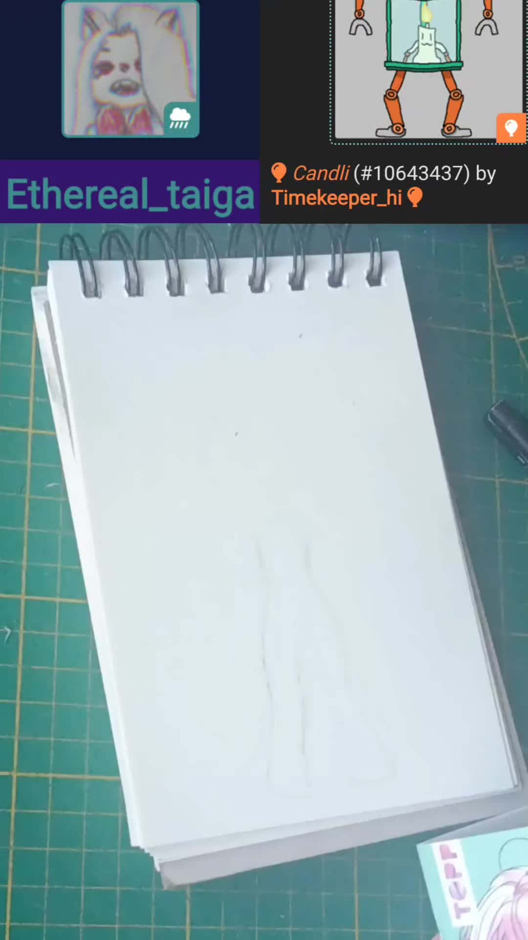 @✏️taiga✏️
