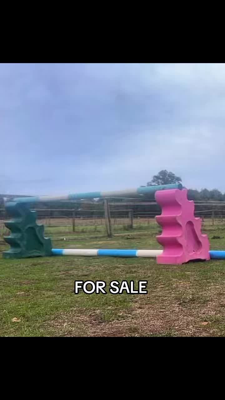 @kiki_and_kicks