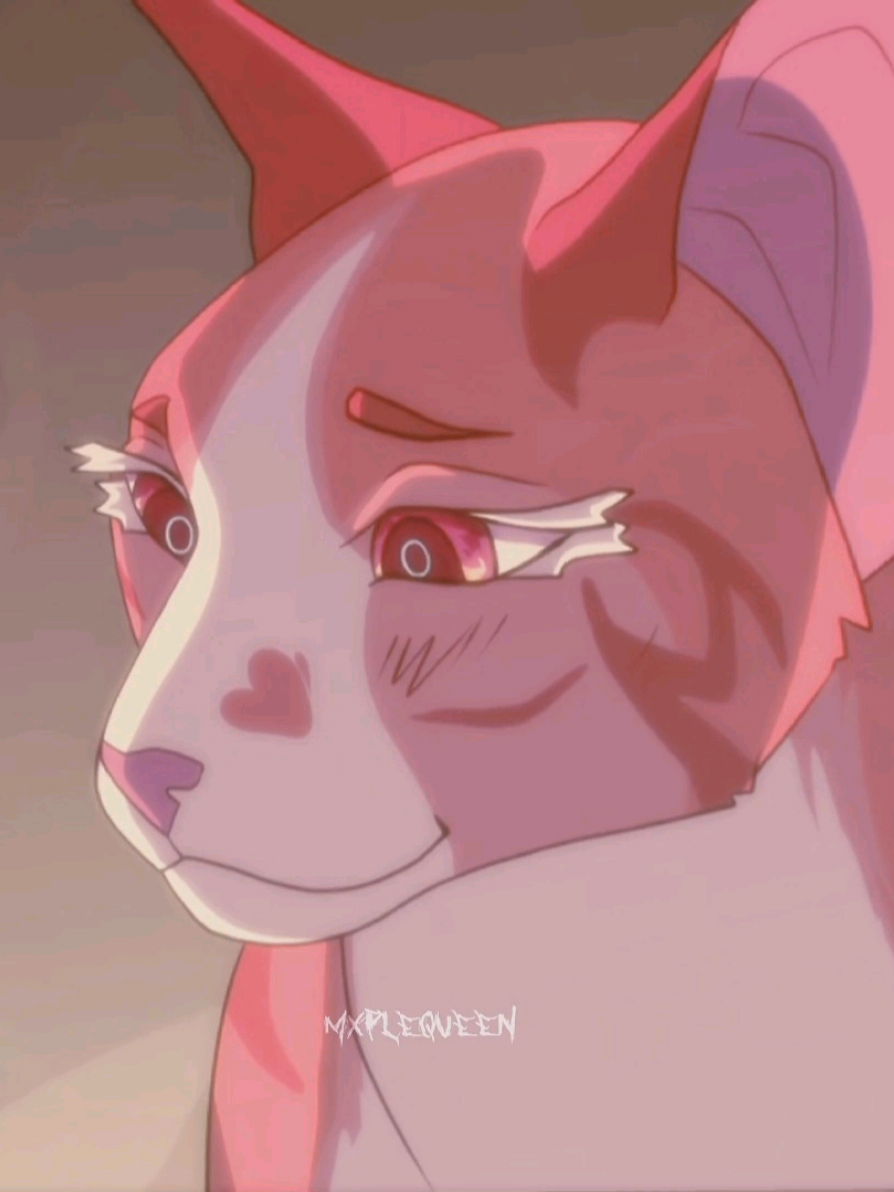 @★ 𝐦𝐱𝐩𝐥𝐞𝐪𝐮𝐞𝐞𝐧 ★