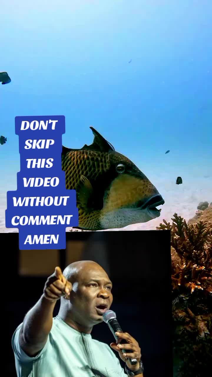 @JESUS NEVER FAIL