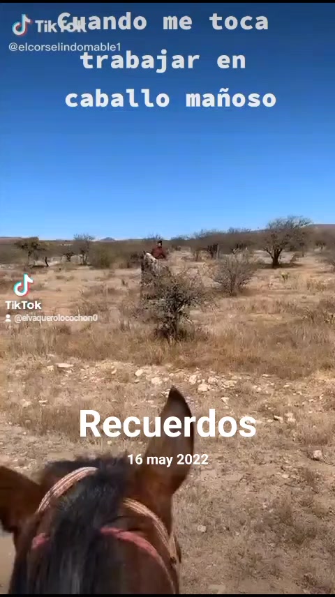 @Viejito Cordova✝️🍀❤️🐎🦅