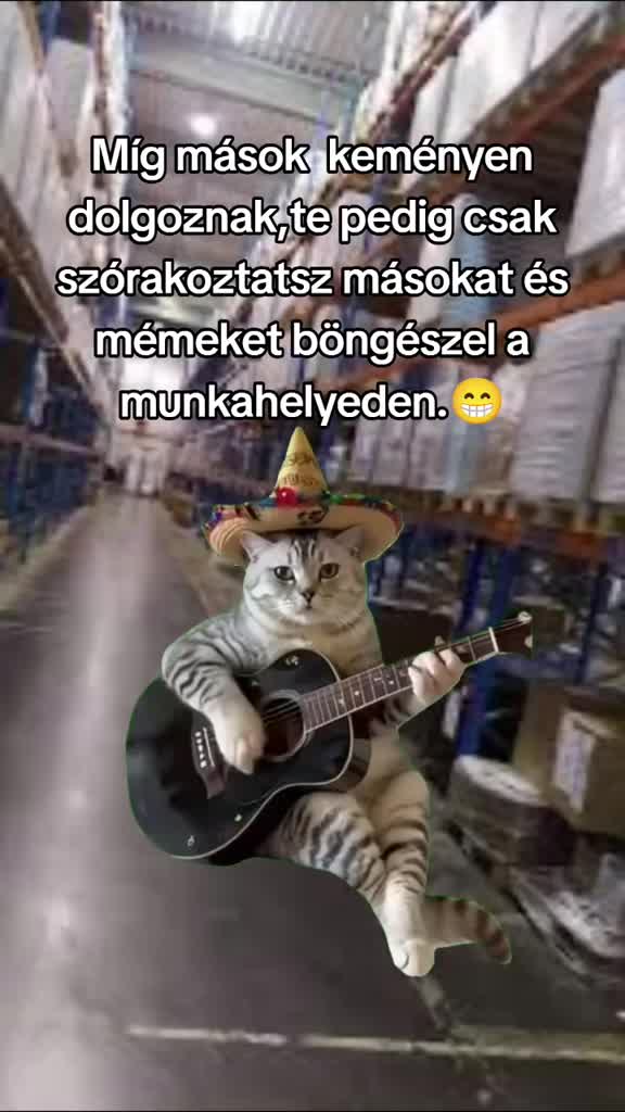 @Mariusz