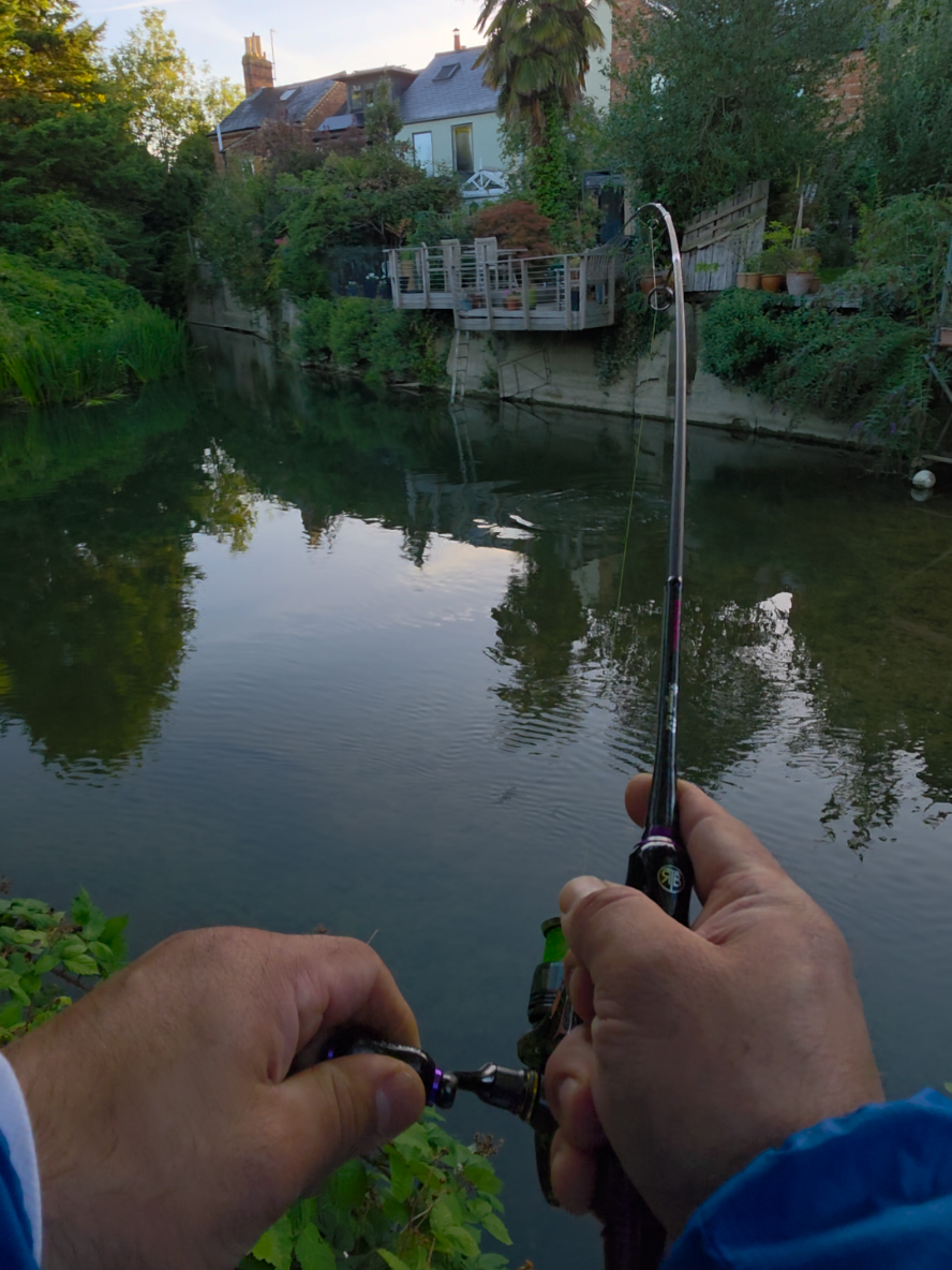 @BF Angler