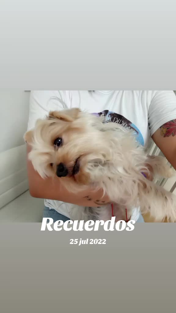@🍀💚 Yanet
