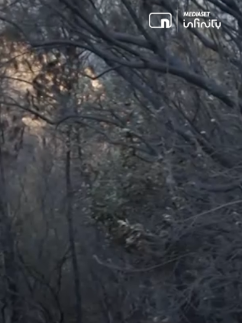@Noticias Cuatro