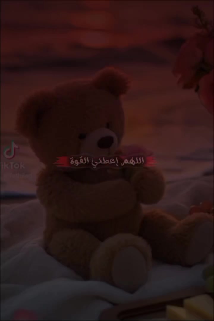 @mohamedbassat