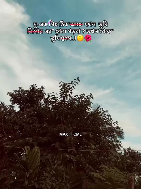 @MAX 🕷️ CML