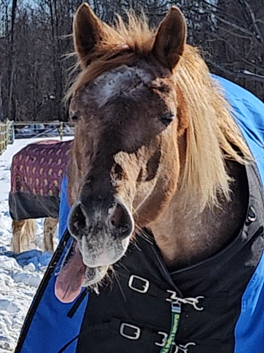@Beth - Epona Media